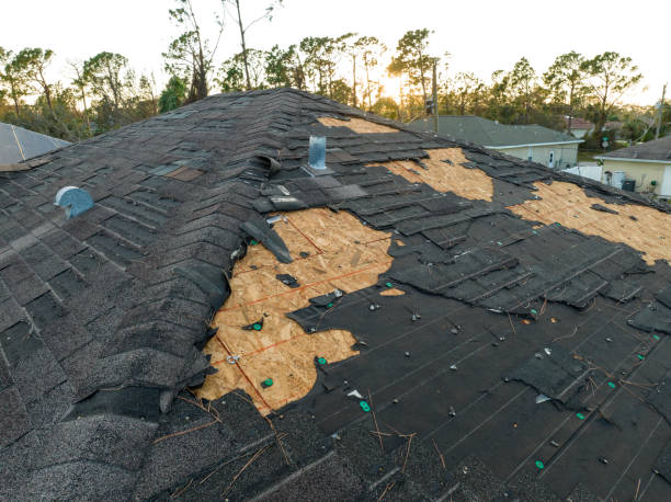 Best Rubber Roofing (EPDM, TPO)  in Bass Lake, IN